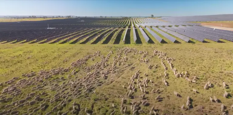 New England Solar Farm