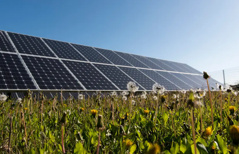 Woolooga Solar Farm